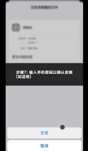 欧博iOS应用安装流程示意图7